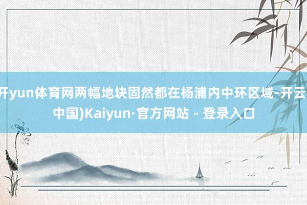 开yun体育网两幅地块固然都在杨浦内中环区域-开云(中国)Kaiyun·官方网站 - 登录入口