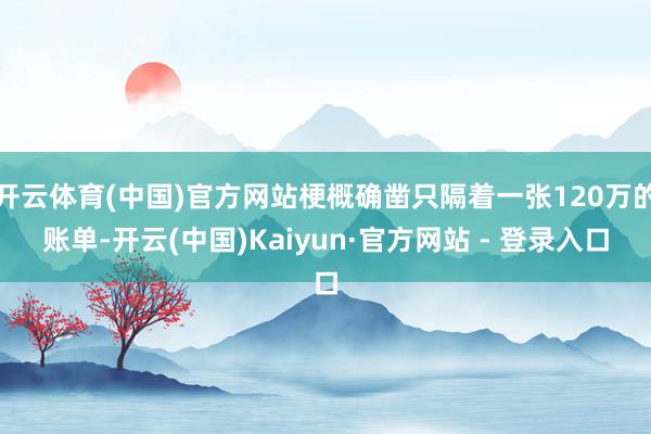 开云体育(中国)官方网站梗概确凿只隔着一张120万的账单-开云(中国)Kaiyun·官方网站 - 登录入口